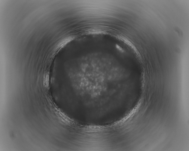 X0000112000777200908241432