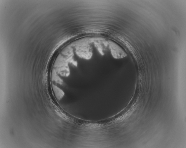 X0000112000779200908241432