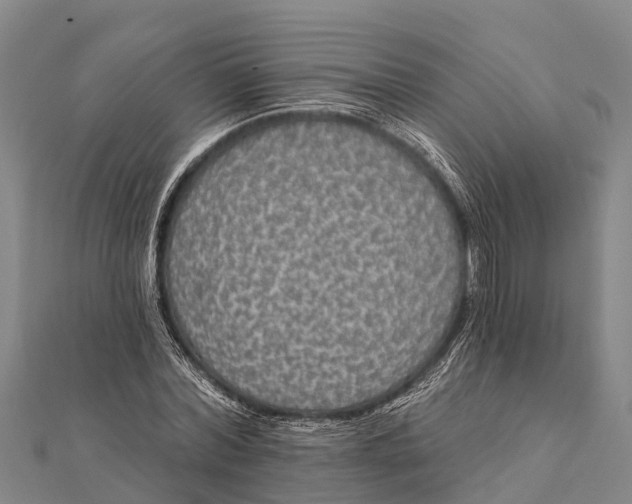 X0000112000780200908241432