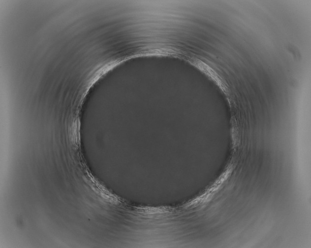 X0000112000781200908241432