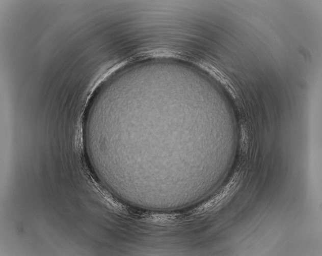 X0000112000782200908241432