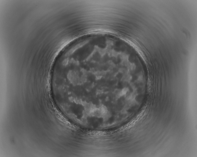 X0000112000783200908241432