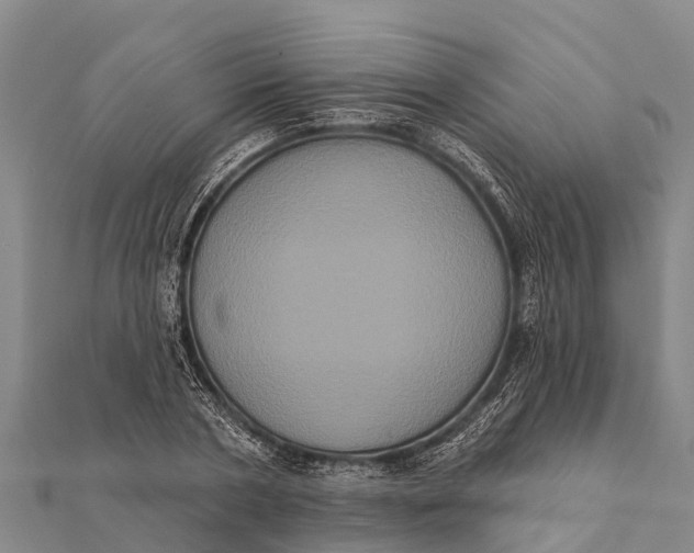 X0000112000786200908241432