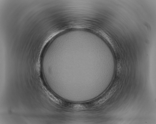 X0000112000787200908241432