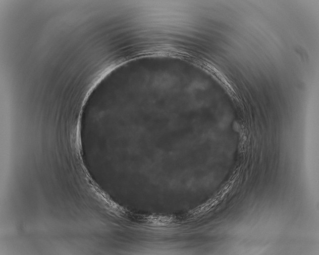 X0000112000788200908241432