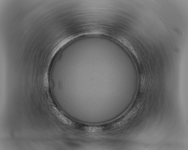 X0000112000789200908241432