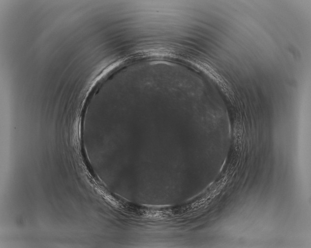 X0000112000790200908241432