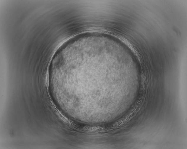 X0000112000791200908241432