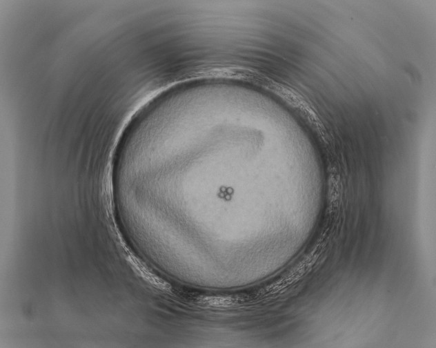 X0000112000792200908241432