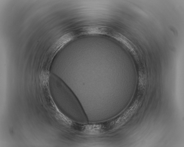 X0000112000793200908241432