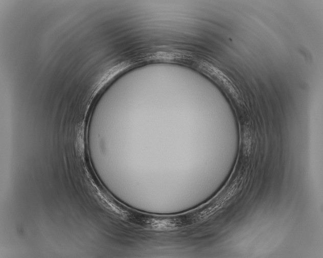 X0000112000794200908241432