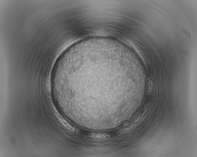 X0000112000795200908241432