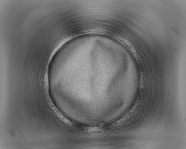 X0000112000796200908241432