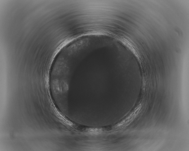 X0000112000797200908241432