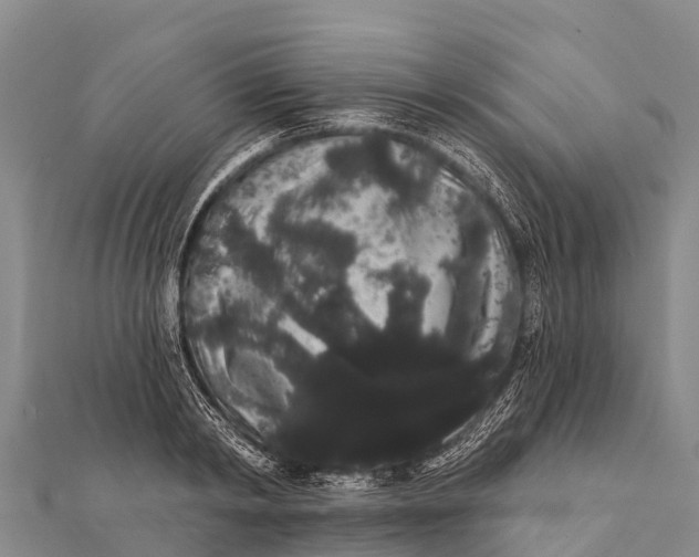 X0000112000798200908241432