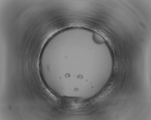 X0000112000799200908241432