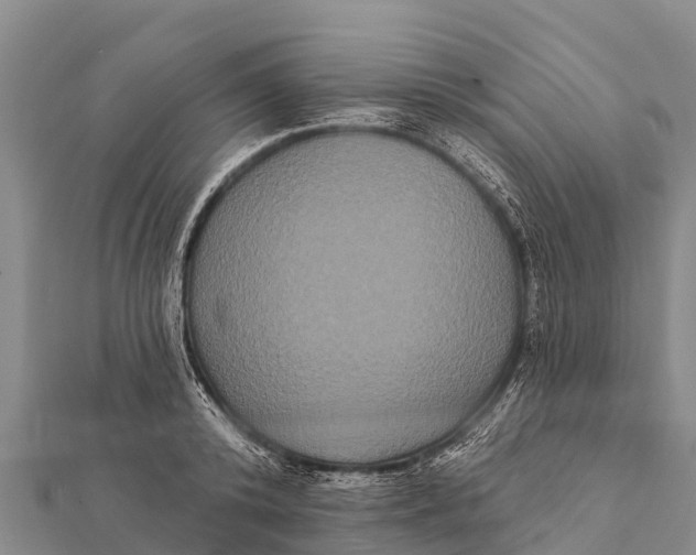 X0000112000800200908241432