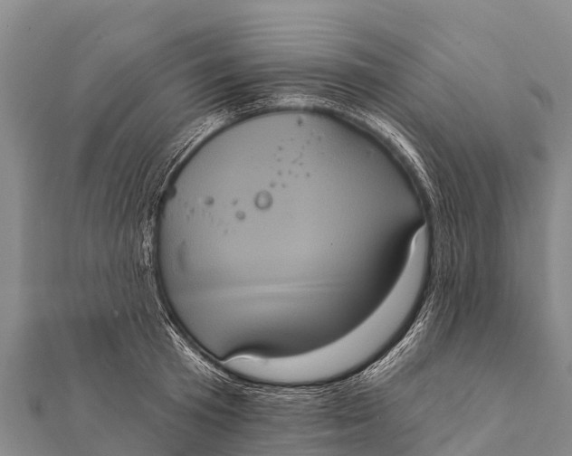 X0000112000801200908241432