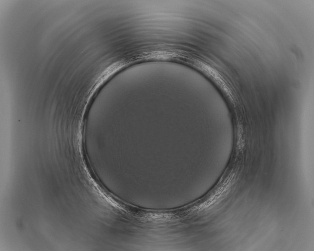 X0000112000802200908241432