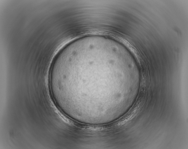 X0000112000803200908241432