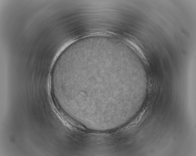 X0000112000804200908241432