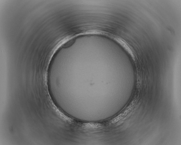 X0000112000805200908241432