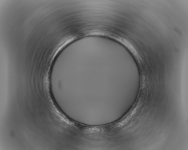 X0000112000806200908241432