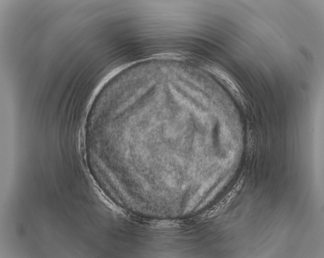 X0000112000808200908241431