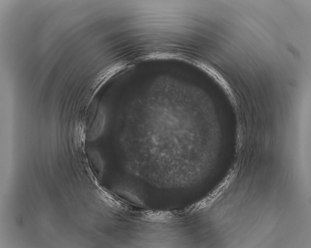 X0000112000809200908241431