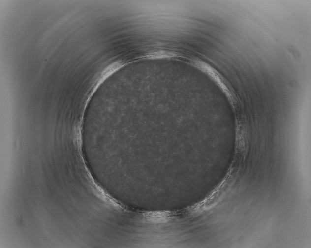 X0000112000810200908241431