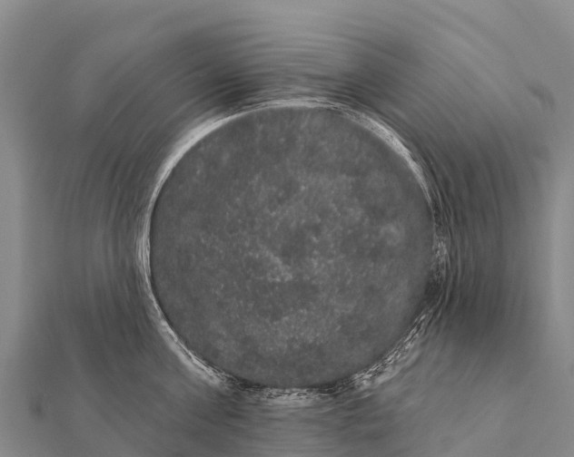 X0000112000811200908241431