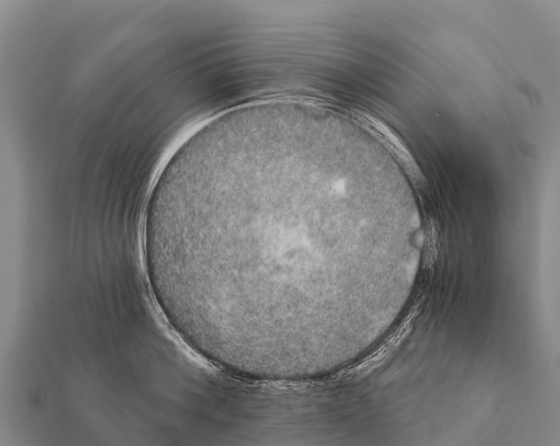 X0000112000812200908241431