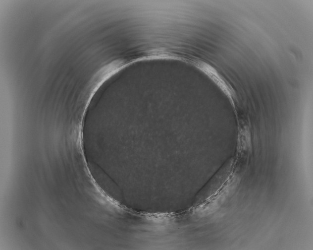 X0000112000813200908241431