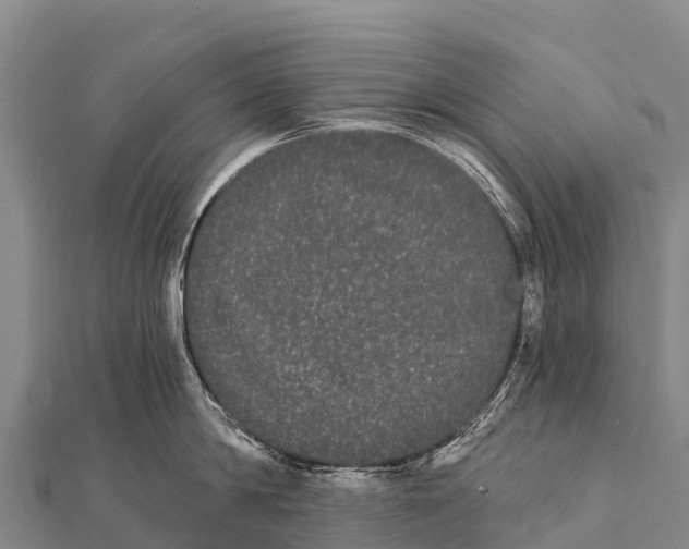 X0000112000814200908241431