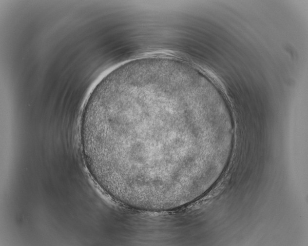 X0000112000816200908241431