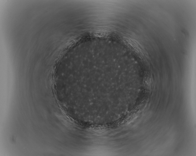 X0000112000817200908241431