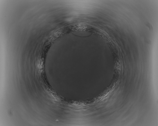 X0000112000818200908241431