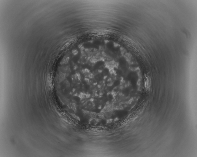 X0000112000819200908241431