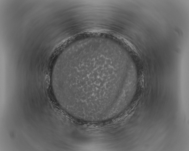 X0000112000821200908241431