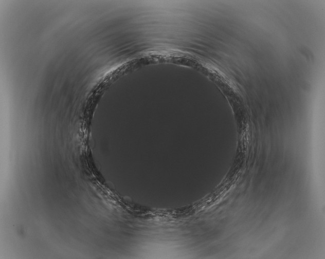 X0000112000822200908241431