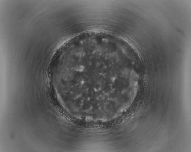 X0000112000823200908241431