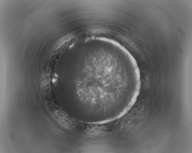 X0000112000824200908241431