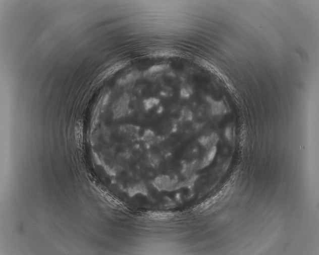 X0000112000825200908241431