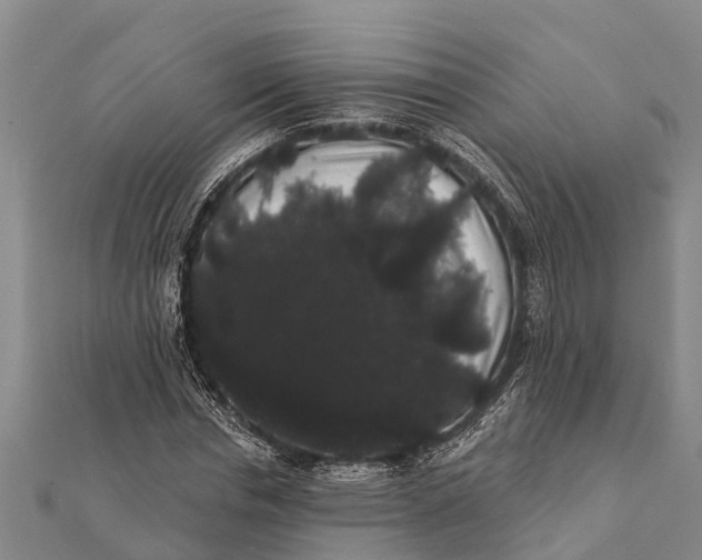 X0000112000826200908241431