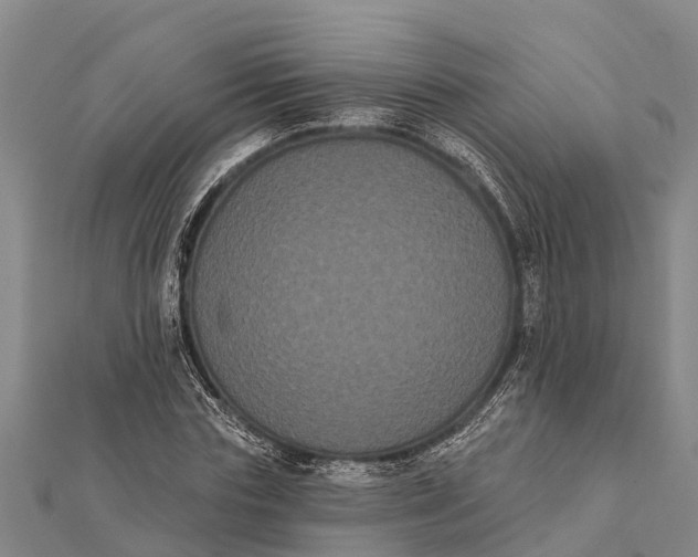 X0000112000827200908241431