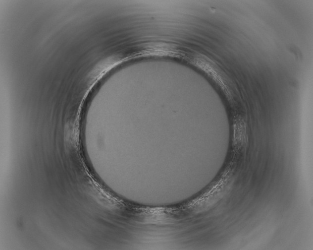 X0000112000828200908241431