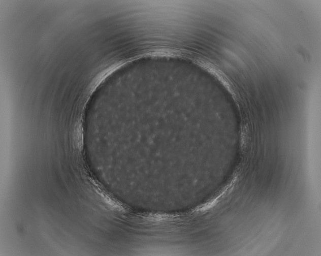 X0000112000829200908241431