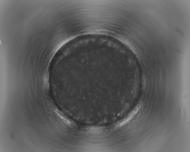 X0000112000830200908241431