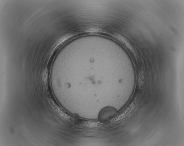 X0000112000831200908241431