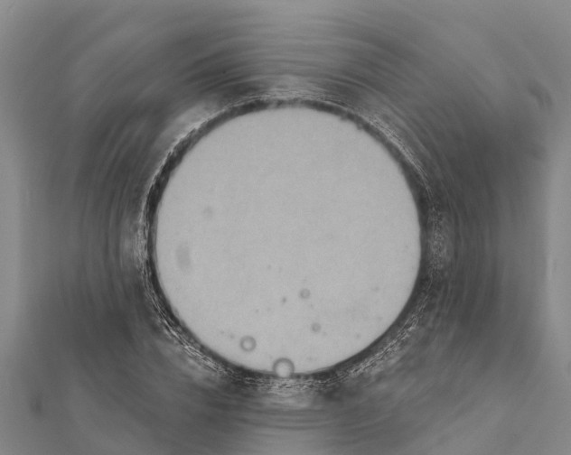 X0000112000832200908241431